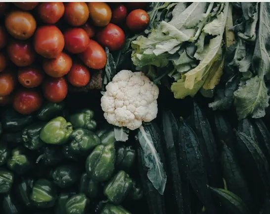 Eggplant