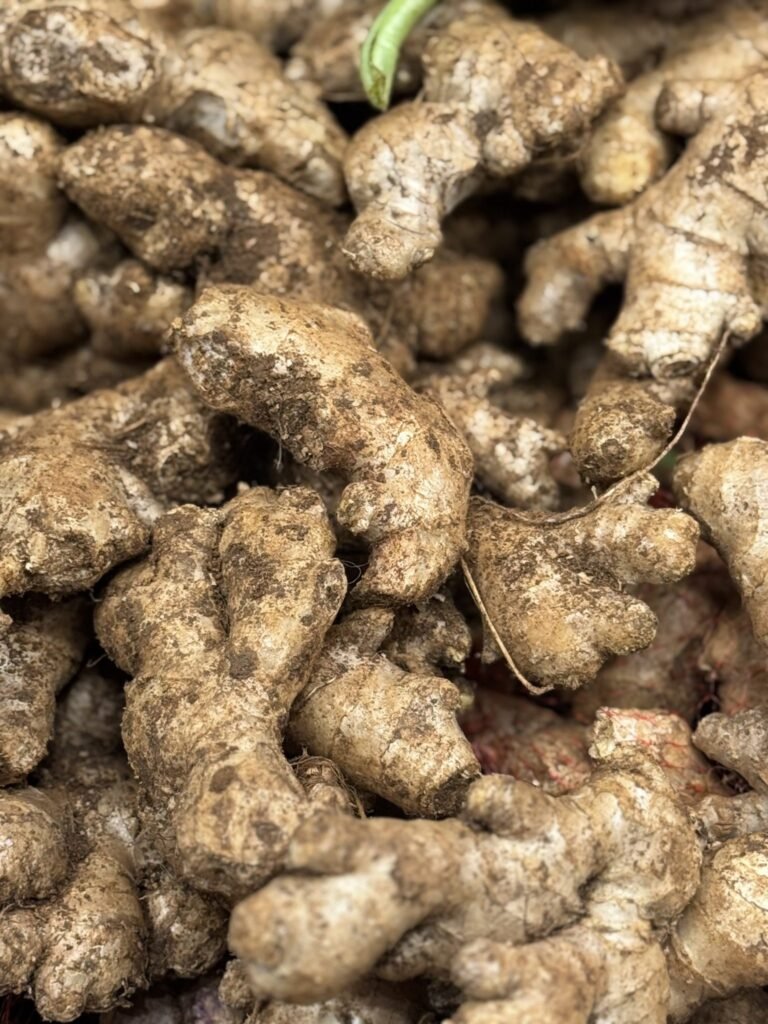 Ginger